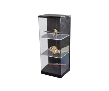 Master Tools Plastic Transparent Case 165x120x360mm