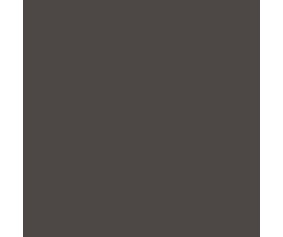 Mission Models Burnt Iron 1 1oz (30ml) (1)