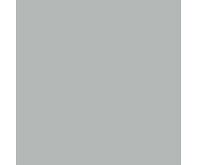 Mission Models Silver 1oz (30ml) (1)