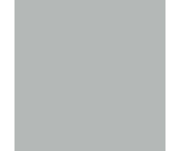 Mission Models Silver 1oz (30ml) (1)