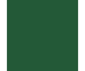 Mission Models Green 1oz (30ml) (1)