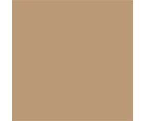 Mission Models Light Neutral Tan 1oz (30ml) (1)