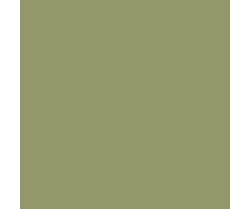 Mission Models US Army Olive Drab Faded 2 1oz (30ml) (1)