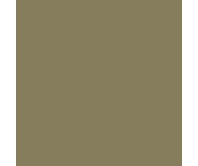 Mission Models US Army Khaki Drab OD FS 34088 1oz (30ml) (1)