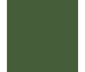 Mission Models Russian Green Modern 1oz (30ml) (1)