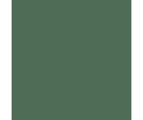 Mission Models Field Grey RLM 80 1oz (30ml) (1)