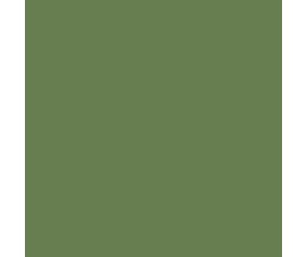 Mission Models US Interior Green FS 34151 1oz (30ml) (1)