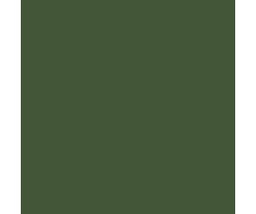 Mission Models RAF dark Green 1oz (30ml) (1)