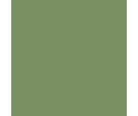 Mission Models RAF Interior Green 1oz (30ml) (1)