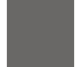Mission Models 1oz. Have Glass Grey FS36170 1oz (30ml) (1)