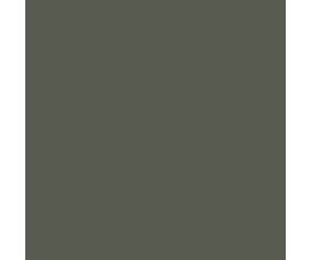 Mission Models Schwarzgrun RLM 70 1oz (30ml) (1)