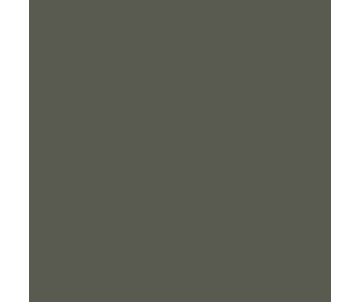 Mission Models Schwarzgrun RLM 66 1oz (30ml) (1)