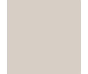Mission Models US Camouflage Grey FS 36622 1oz (30ml) (1)