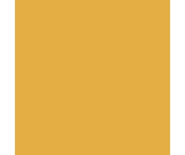 Mission Models New Construction Yellow 1990 to Present 1oz (30ml) (1)