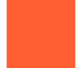 Mission Models RC Orange Paint 2oz (60ml) (1)