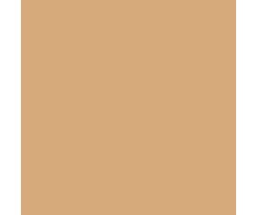 Mission Models RC Beige Paint 2oz (60ml) (1)