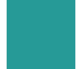 Mission Models RC Aqua Paint 2oz (60ml) (1)