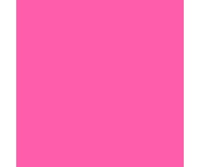 Mission Models RC Fluorescent Racing Pink Paint 2oz (60ml) (1)