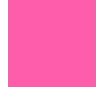 Mission Models RC Fluorescent Racing Pink Paint 2oz (60ml) (1)