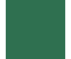 Mission Models RC Translucent Green Paint 2oz (60ml) (1)