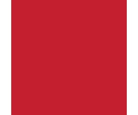 Mission Models RC Translucent Red Paint 2oz (60ml) (1)