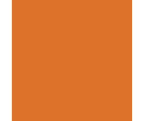 Mission Models Light Rust 1 1oz (30ml) (1)