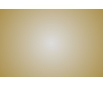On Point 150ml RC Spray Paint - Metallic Gold