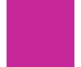 On Point 150ml RC Spray Paint - Fluorescent Pink