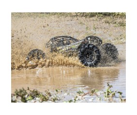 Pro-Line Interco Black Mamba 2.6