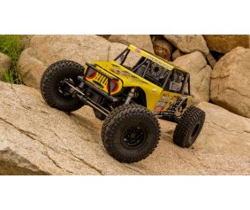 RC4WD Miller Motorsports 1/10 Pro Rock Racer RTR