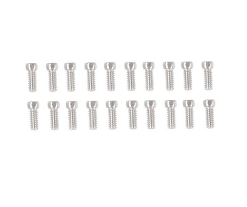 RC4WD Scale Hex Head Bolts (M1.6x4mm) (Silver)