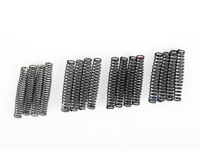 RC4WD Internal Springs for ARB and Superlift 90mm Shocks