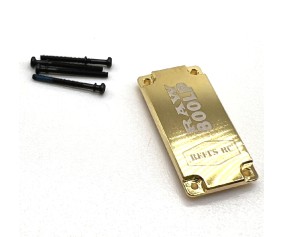 Reefs Brass Bottomz : RAW800LP Bottom Case