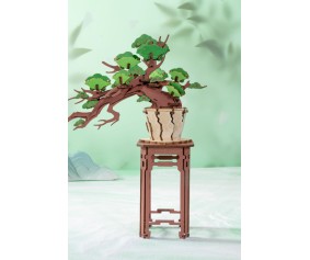 Rolife Evergreen Bonsai 3D Wooden Puzzle