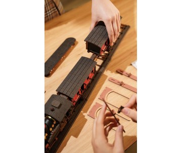 Rolife Steam Journey 3D Wooden Puzzle