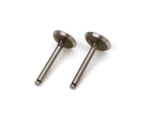 Saito Engines Valve (In/Out Pair): AG, AH, BN