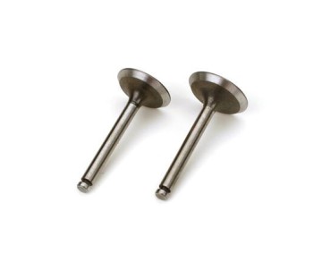 Saito Engines Valve (In/Out Pair): AG, AH, BN