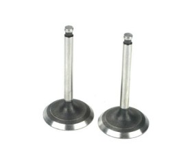 Saito Engines Valve (In & Out)Pair:AD,AE