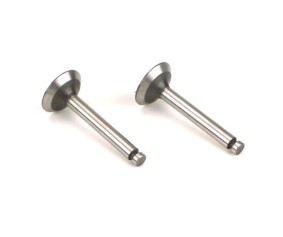 Saito Engines Valve In/Out (Pr):MM,TT