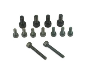 Saito Engines Crankcase Screw Set:P