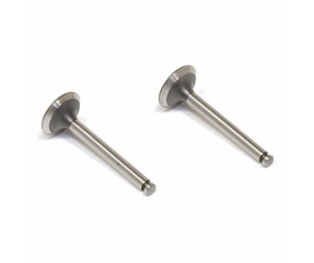 Saito Engines Valve-In/Out (2):G-J,R,S