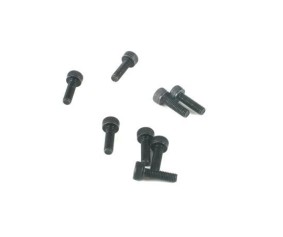 Saito Engines Crankcase Screw Set: RR, SS