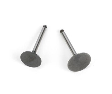 Saito Engines Valve (In&Out) Pair: FG-36: AK,BP
