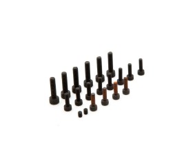 Saito Engines Crankcase Screw Set: BT,CC