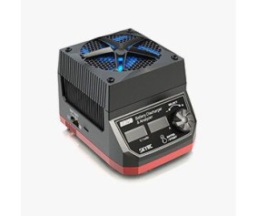 SKYRC BD250 Battery Discharger/Analyzer - EXPERT USE ONLY