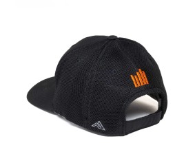 Spektrum iX14 14-Channel Transmitter Hat