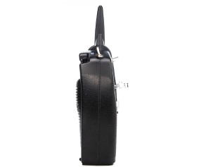Spektrum DXS Transmitter Only