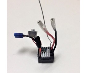 Spektrum Receiver/ESC FHSS CAR/BOAT