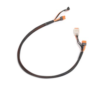 Spektrum Charge lead w/Bal Ext. 24 inch IC3, 2-4S
