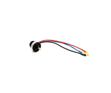 Spektrum Brushless Outrunner Motor; 2832-1300Kv 14-Pole